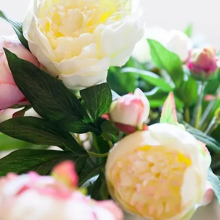 Bed & Breakfast Aux Petits Lardons