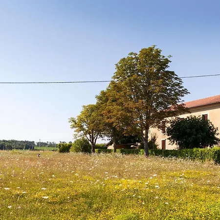 Bed & Breakfast Aux Petits Lardons Trie-sur-Baise