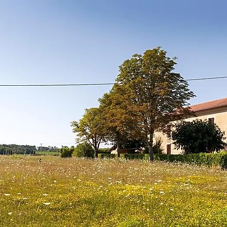 Bed and Breakfast Aux Petits Lardons Trie-sur-Baise